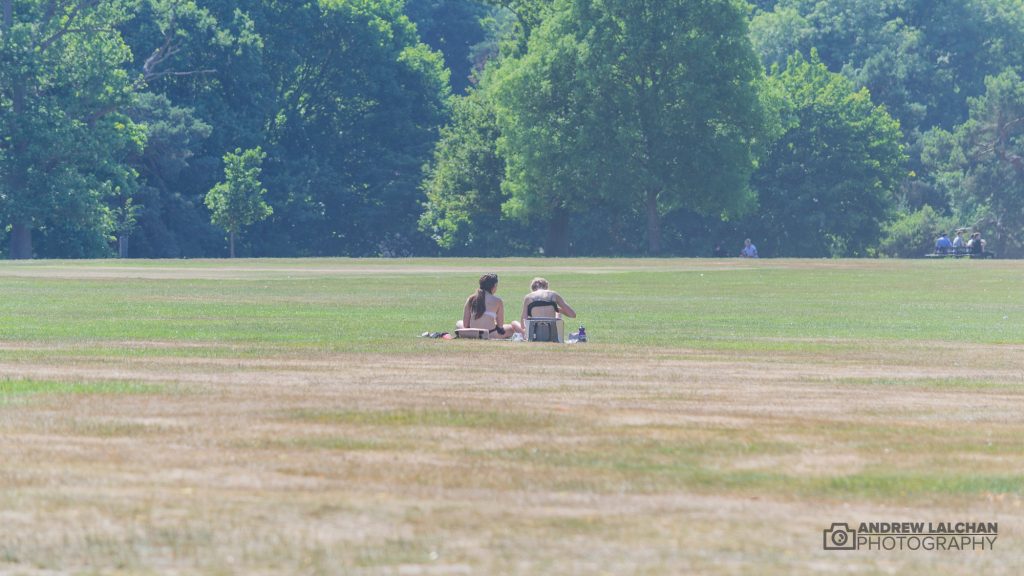 Sunbathing in Cassiobury Park, Watford