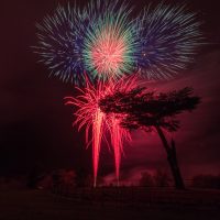 Fireworks In Cassiobury Park