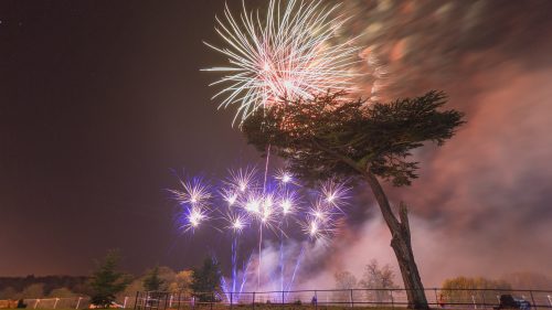 Firework in Cassiobury Park