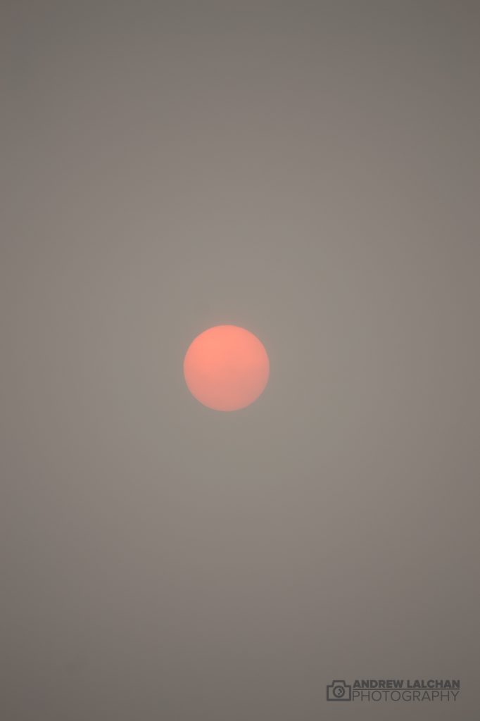 Red sun