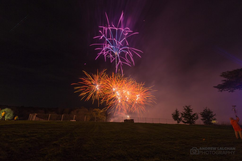 Fireworks in Cassiobury Park