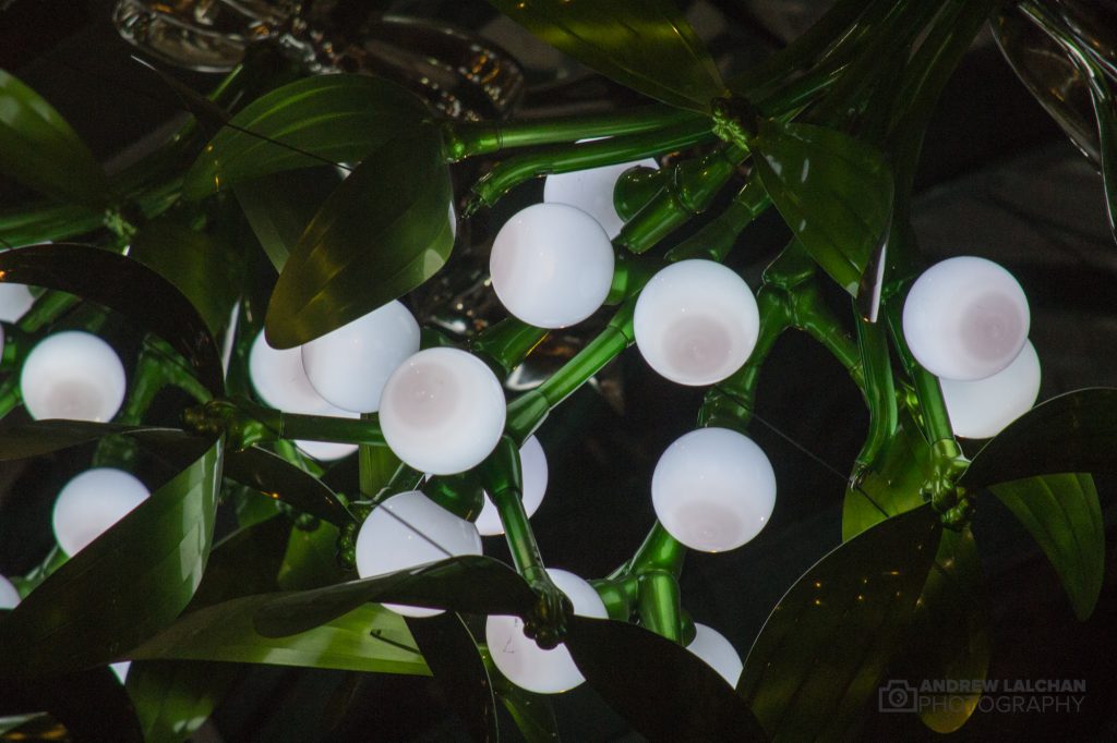 Covent Garden - Mistletoe