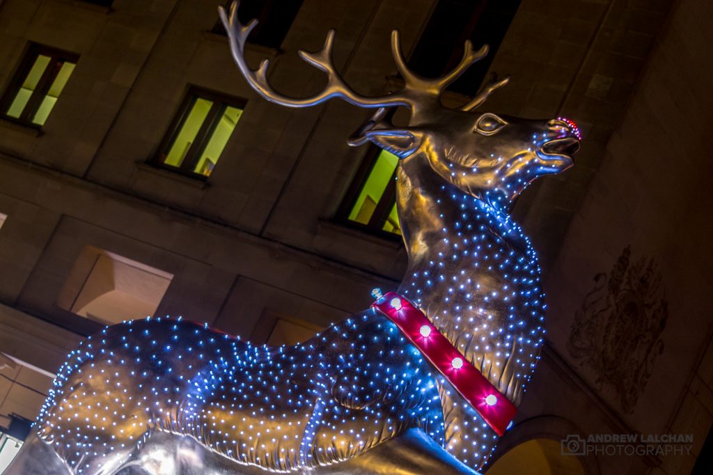 Covent Garden - Reindeer
