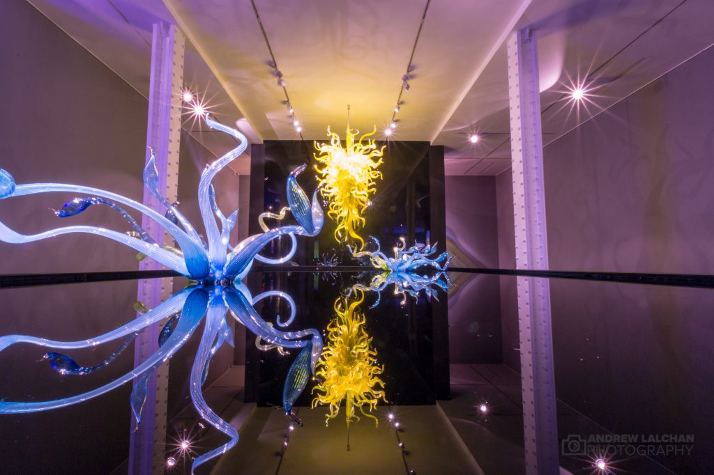 Chihuly Now at Halcyon Gallery