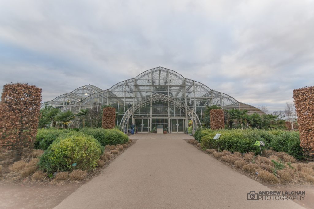 RHS Wisley - Butterfly Glasshouse