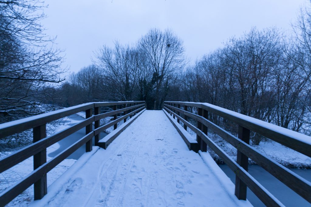 Beast from the East photos