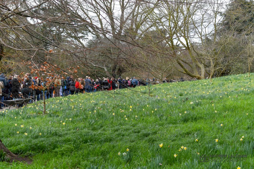 Queue to get into the Orchid Festival, over an hour it took