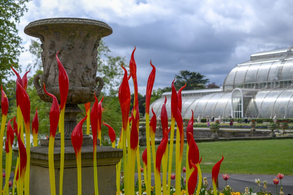 Chihuly - Reflections on nature at Kew Gardens