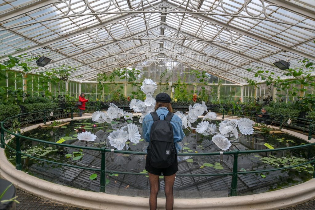 Chihuly - Reflections on nature at Kew Gardens