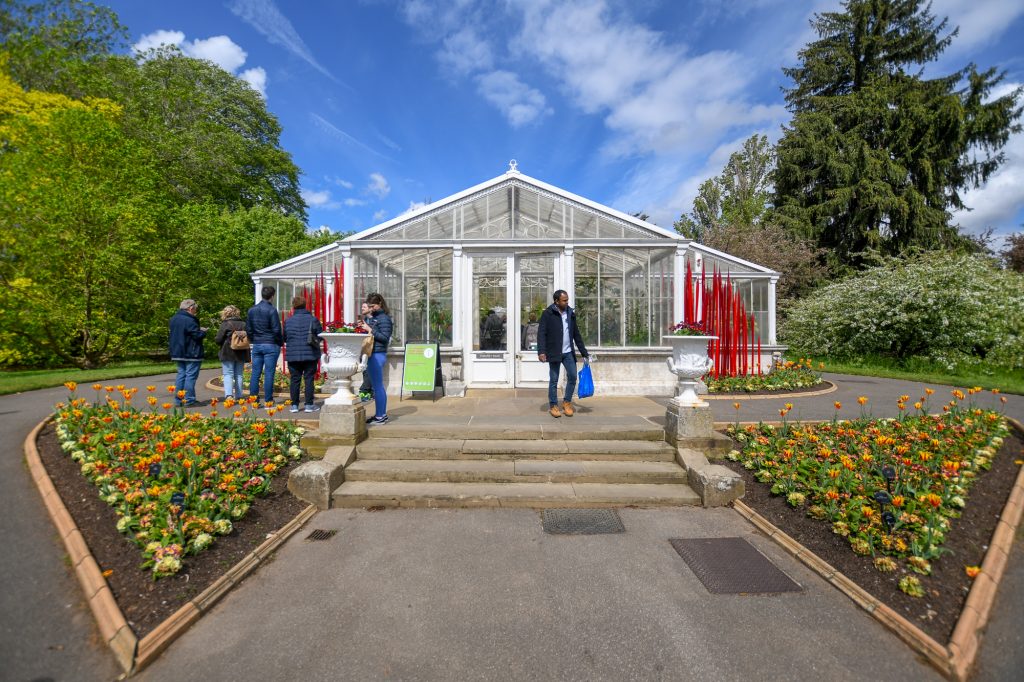 Chihuly - Reflections on nature at Kew Gardens