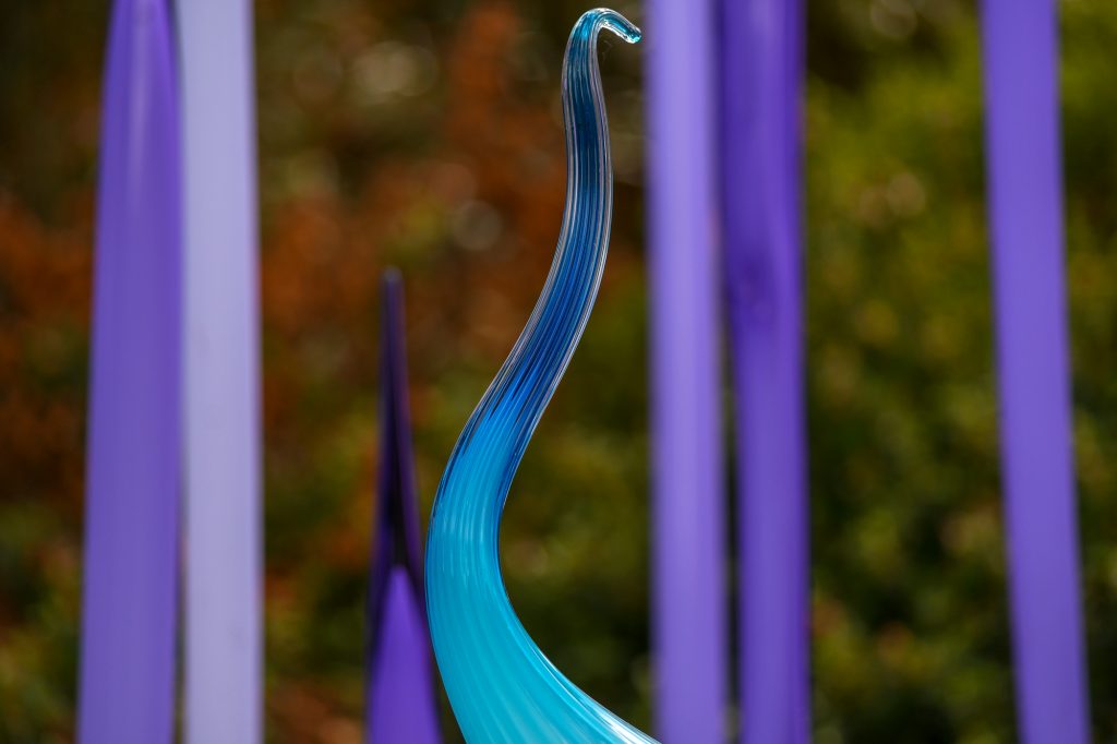 Chihuly - Reflections on nature at Kew Gardens