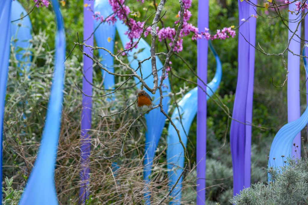 Chihuly - Reflections on nature at Kew Gardens