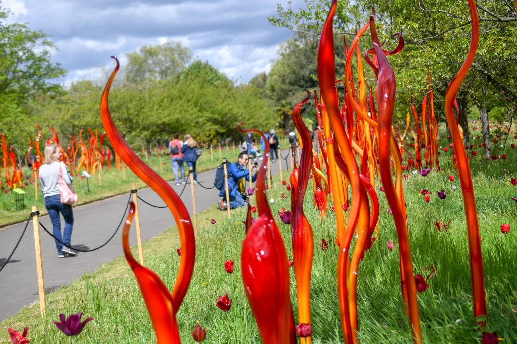 Chihuly - Reflections on nature at Kew Gardens