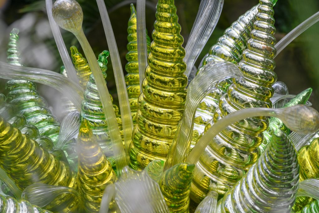 Chihuly - Reflections on nature at Kew Gardens