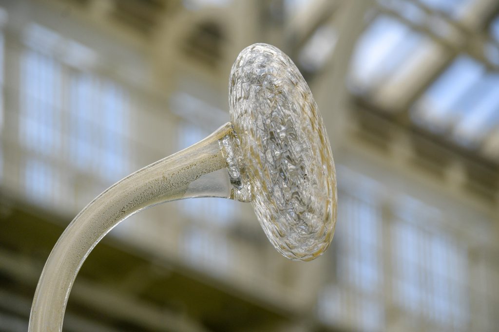 Chihuly - Reflections on nature at Kew Gardens