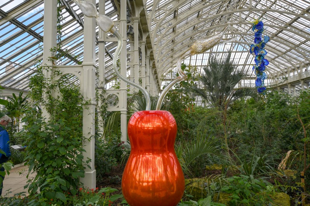 Chihuly - Reflections on nature at Kew Gardens