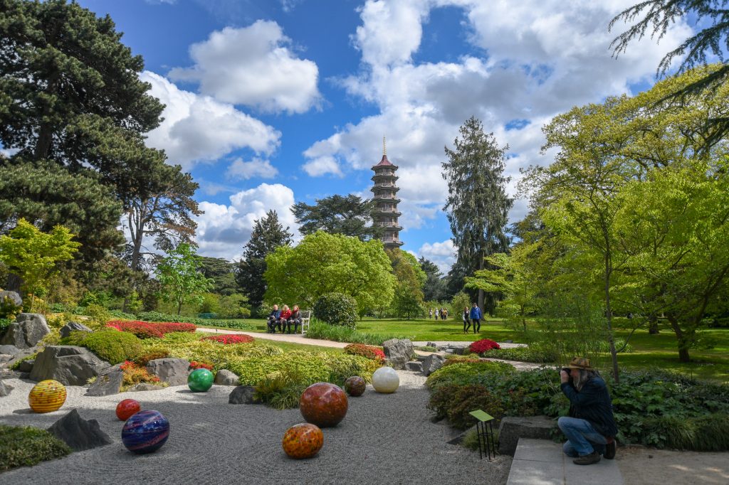 Chihuly - Reflections on nature at Kew Gardens