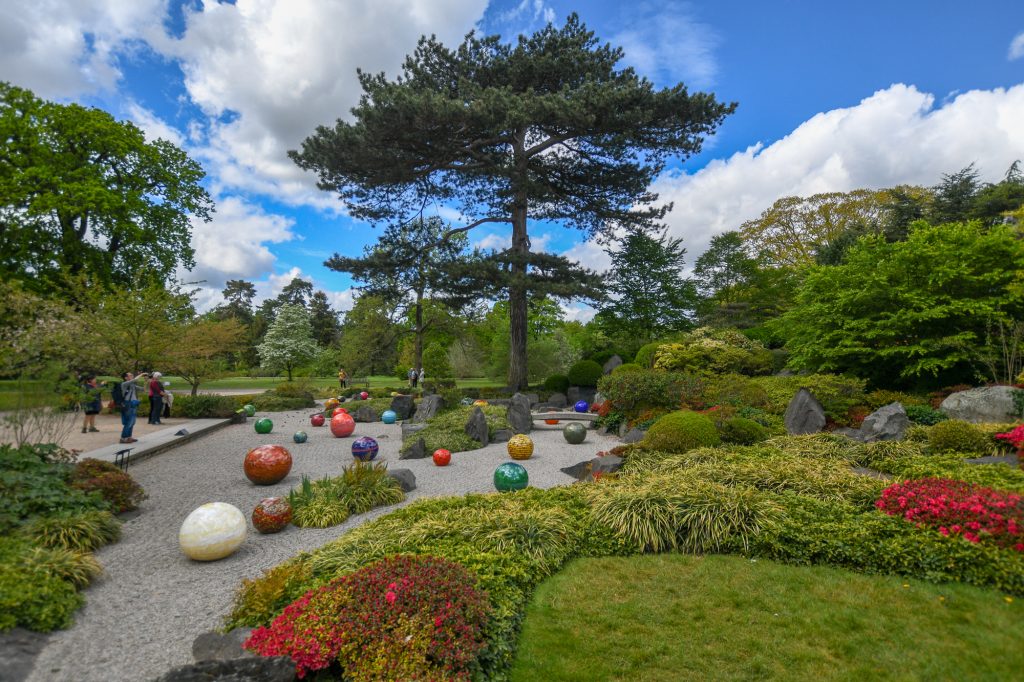 Chihuly - Reflections on nature at Kew Gardens