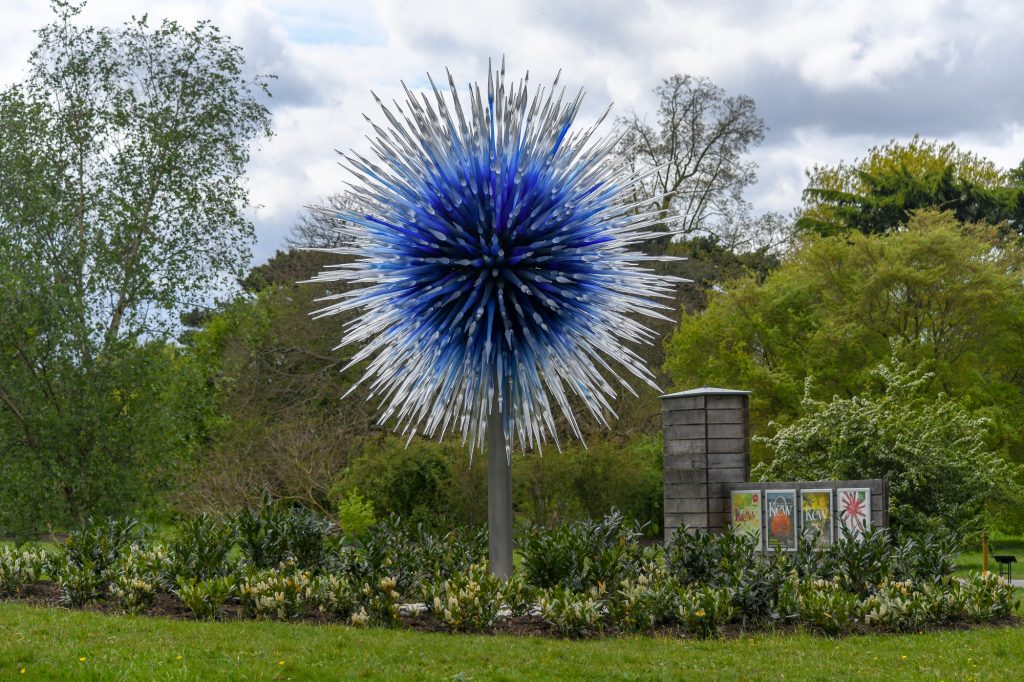 Chihuly - Reflections on nature at Kew Gardens