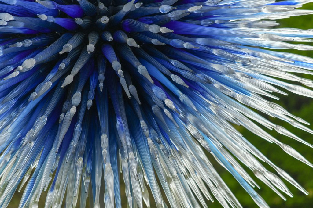 Chihuly - Reflections on nature at Kew Gardens