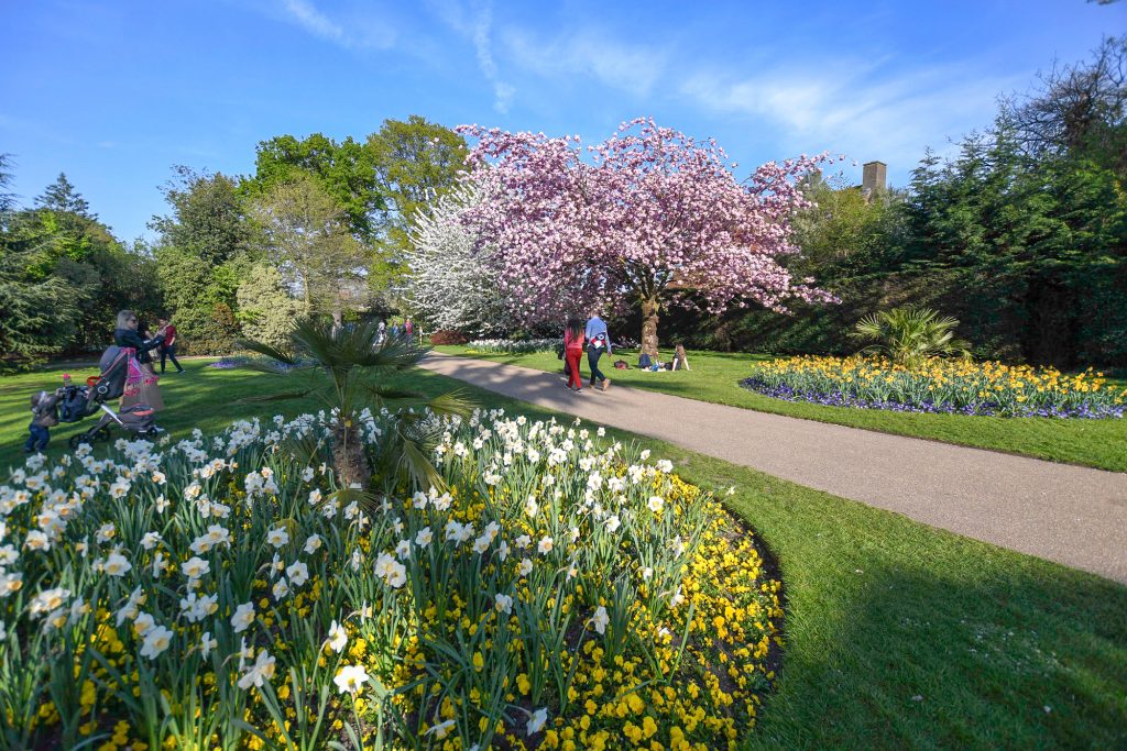 April in Greenwich