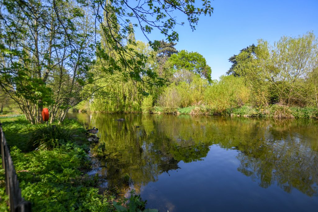 April in Chiswick