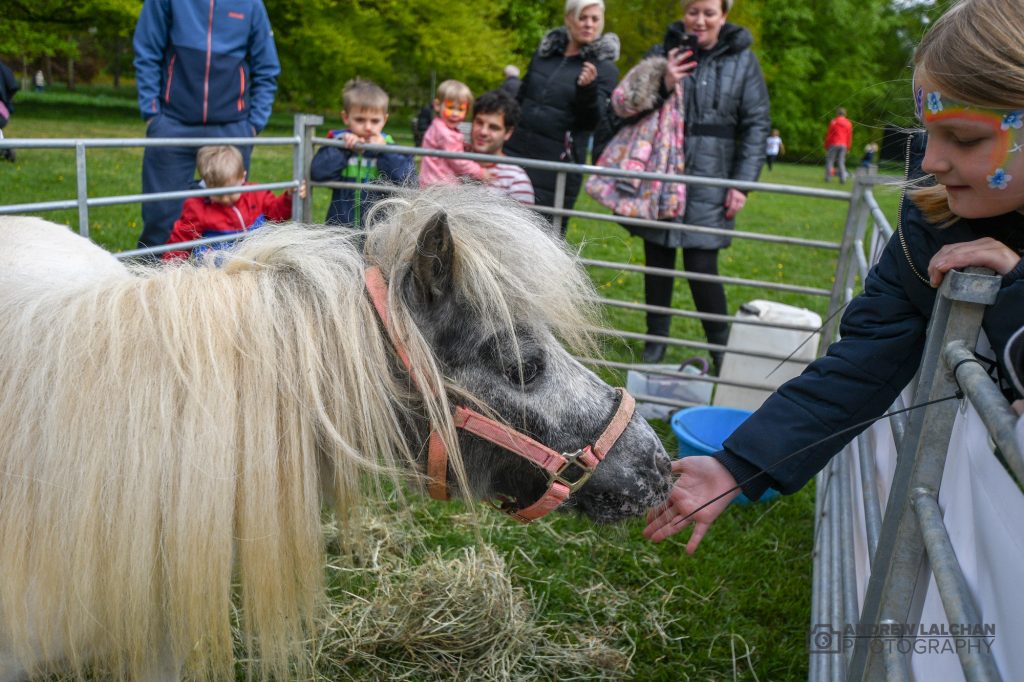 May Day Celebration in Cassiobury Park Watford