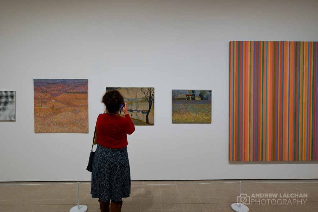 Bridget Riley Exhibition at Hayward Gallery