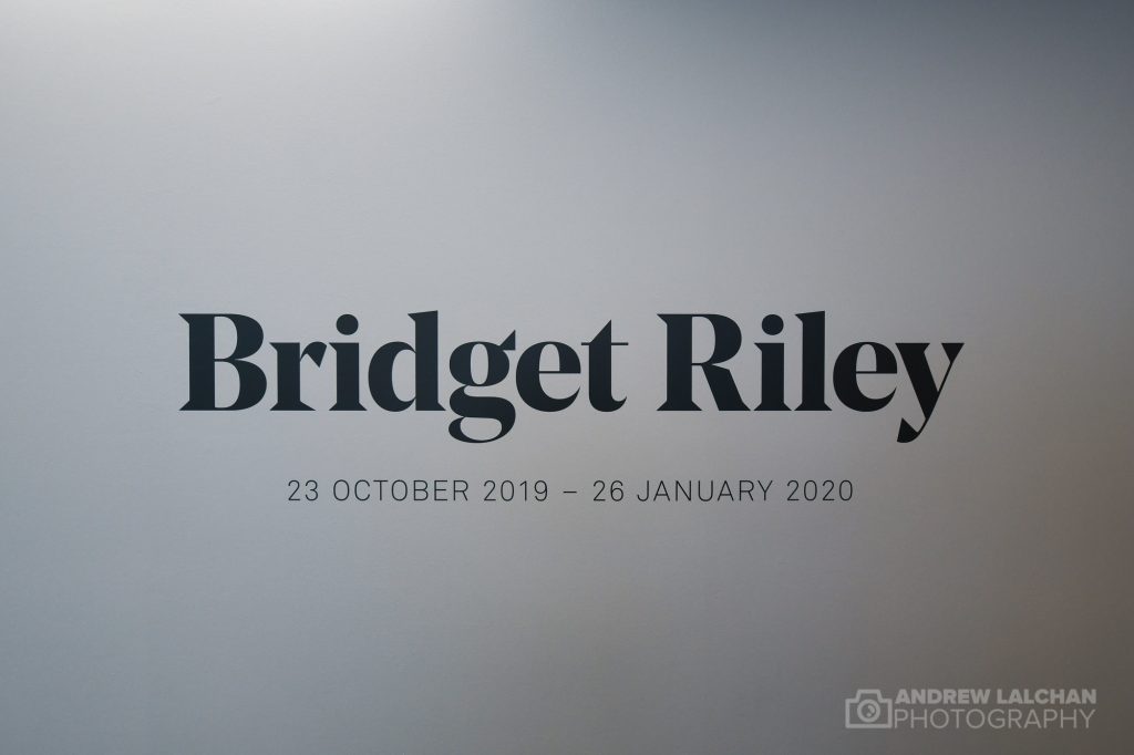 Bridget Riley Exhibition at Hayward Gallery