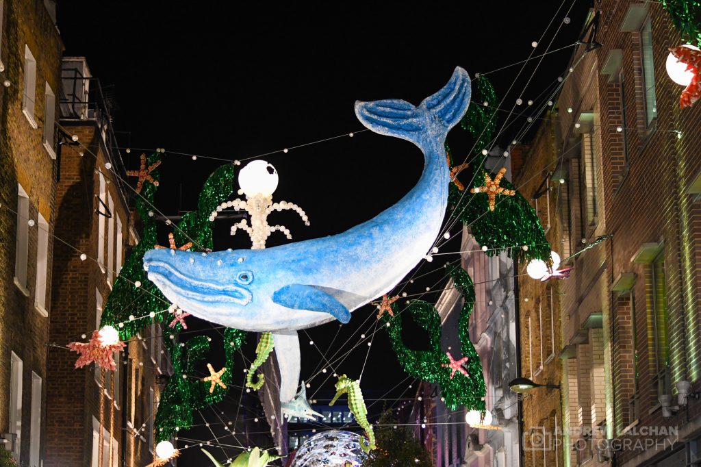 Carnaby Christmas Lights turn on