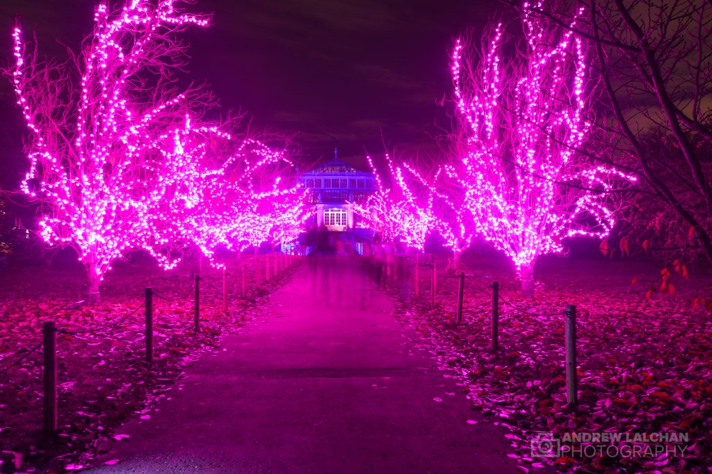 Christmas at Kew Gardens