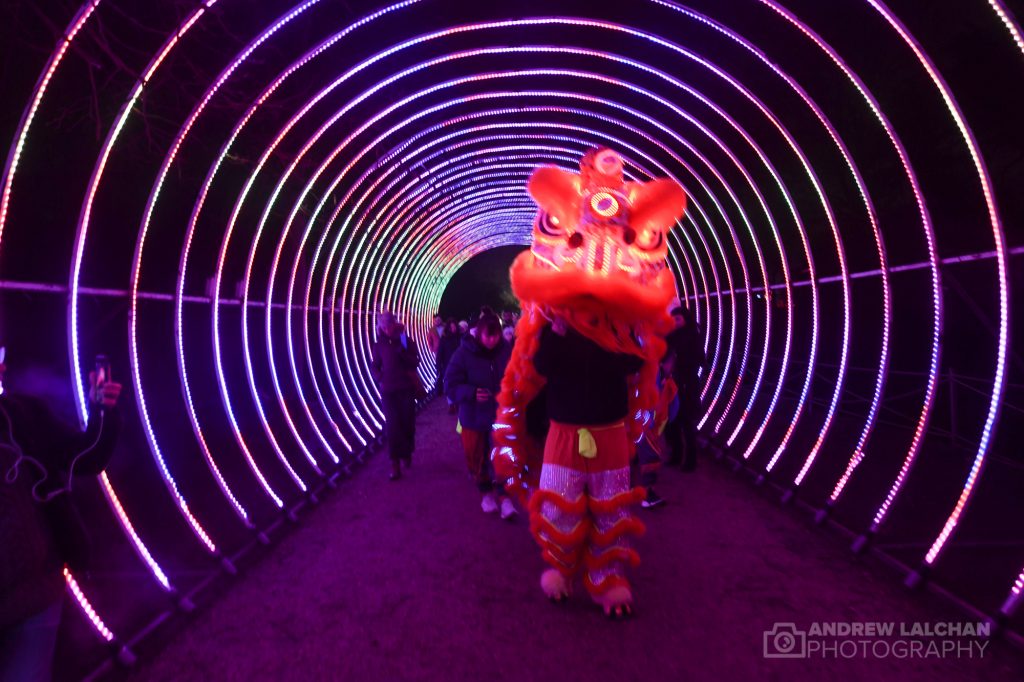 Lightopia at Chiswick House