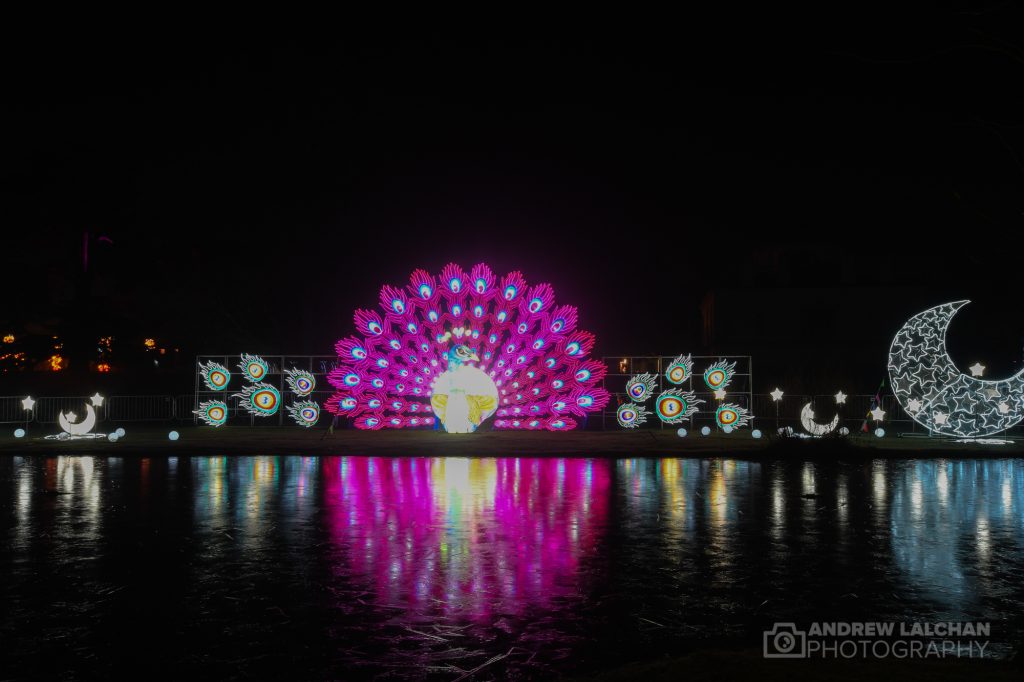 Lightopia at Chiswick House