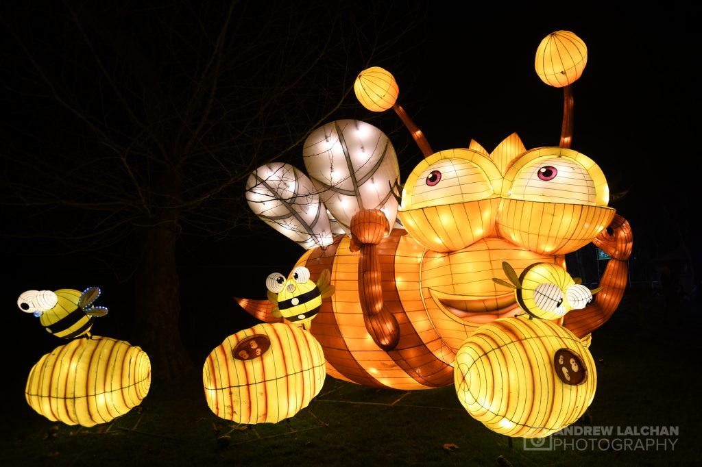 Lightopia at Chiswick House