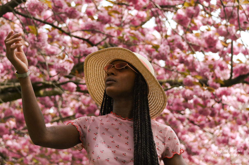 Cherry Blossom in Greenwich with Omotayo