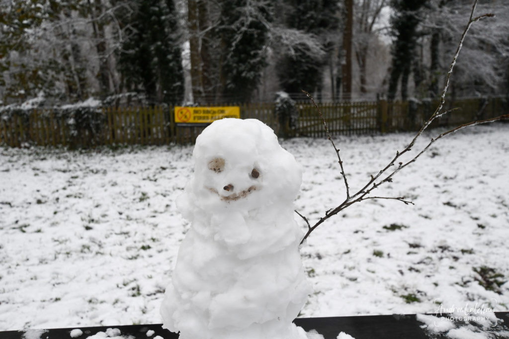 Snowy Watford in Cassiobury Park