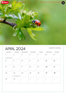 Photographic Calendar 2024 - April