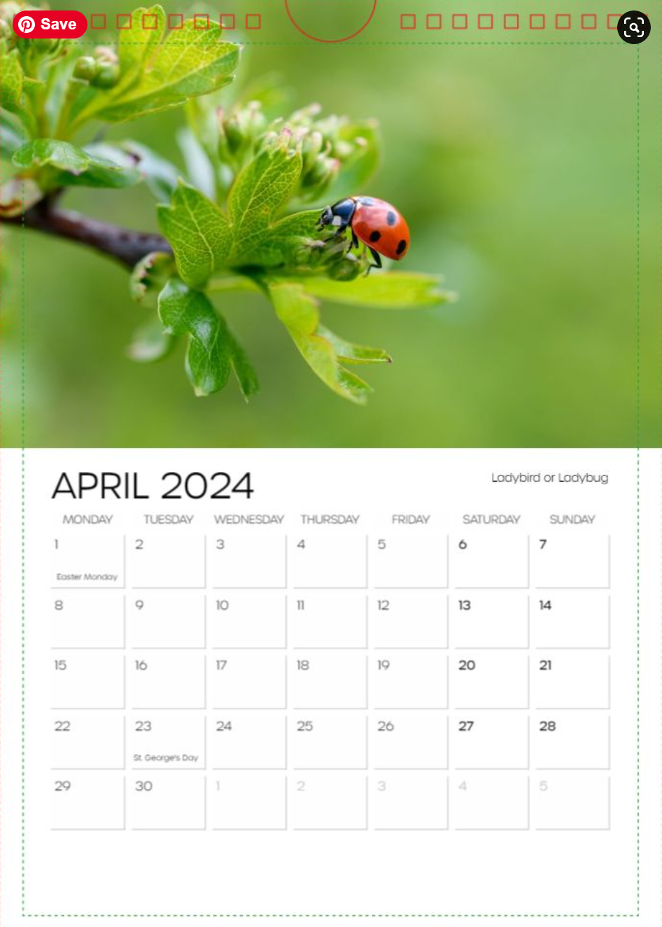 Photographic Calendar 2024 - April