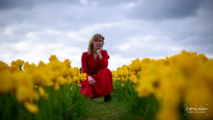 Tulip fields with Julia