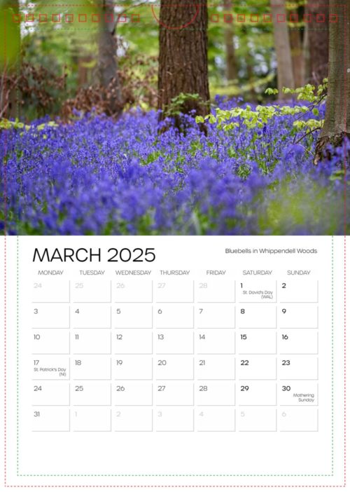 Calendar March - 2025