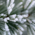 Frosty in Watford