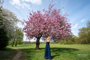 Cherry blossom in Cassiobury Park